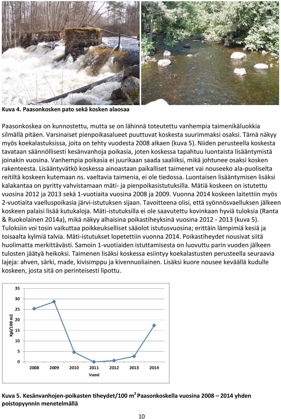 Niiden perusteella koskesta tavataan säännöllisesti kesänvanhoja poikasia, joten koskessa tapahtuu luontaista lisääntymistä joinakin vuosina.