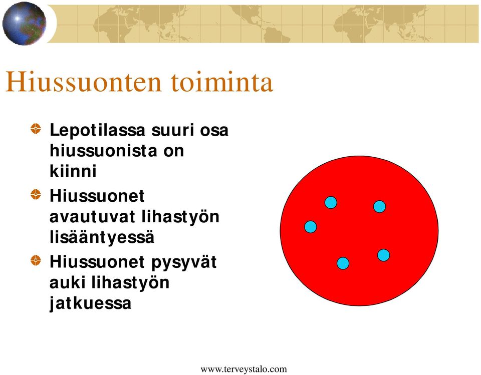 avautuvat lihastyön lisääntyessä