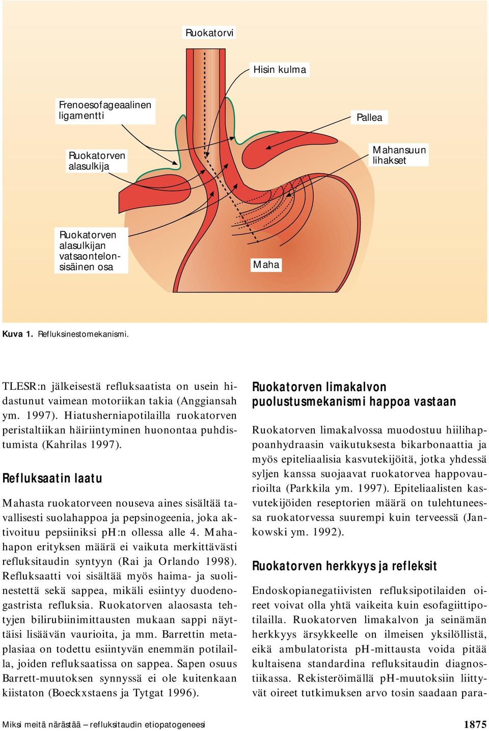 Hiatusherniapotilailla ruokatorven peristaltiikan häiriintyminen huonontaa puhdistumista (Kahrilas 1997).