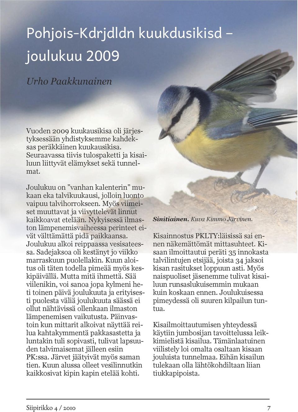 Myös viimeiset muuttavat ja viivyttelevät linnut kaikkoavat etelään. Nykyisessä ilmaston lämpenemisvaiheessa perinteet eivät välttämättä pidä paikkaansa. Joulukuu alkoi reippaassa vesisateessa.
