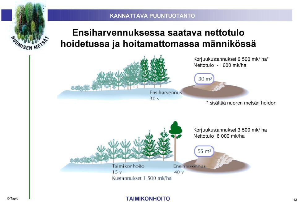 ha* Nettotulo -1 600 mk/ha * sisältää nuoren metsän hoidon