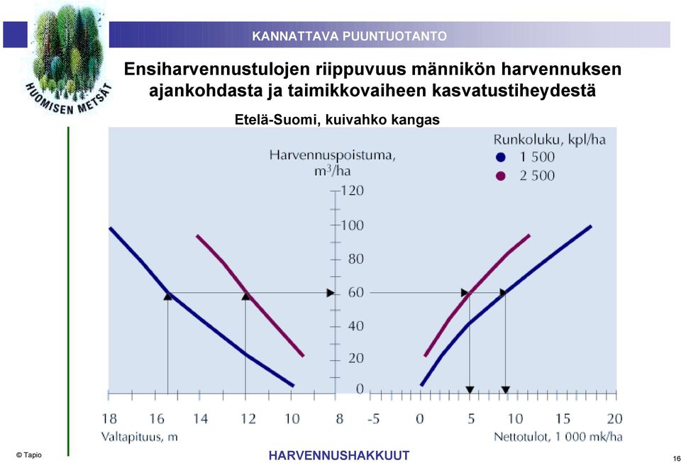 taimikkovaiheen kasvatustiheydestä