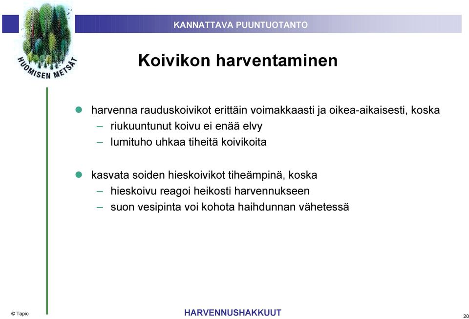 koivikoita kasvata soiden hieskoivikot tiheämpinä, koska hieskoivu reagoi