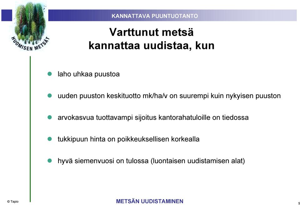 sijoitus kantorahatuloille on tiedossa tukkipuun hinta on poikkeuksellisen