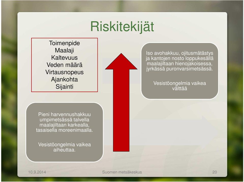 puronvarsimetsässä.