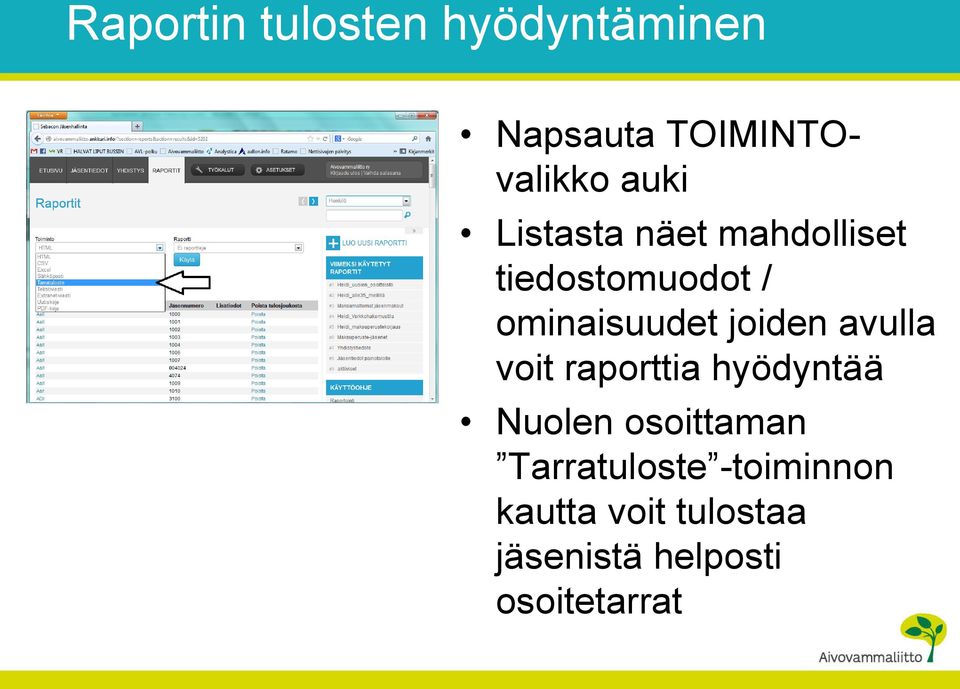 avulla voit raporttia hyödyntää Nuolen osoittaman Tarratuloste