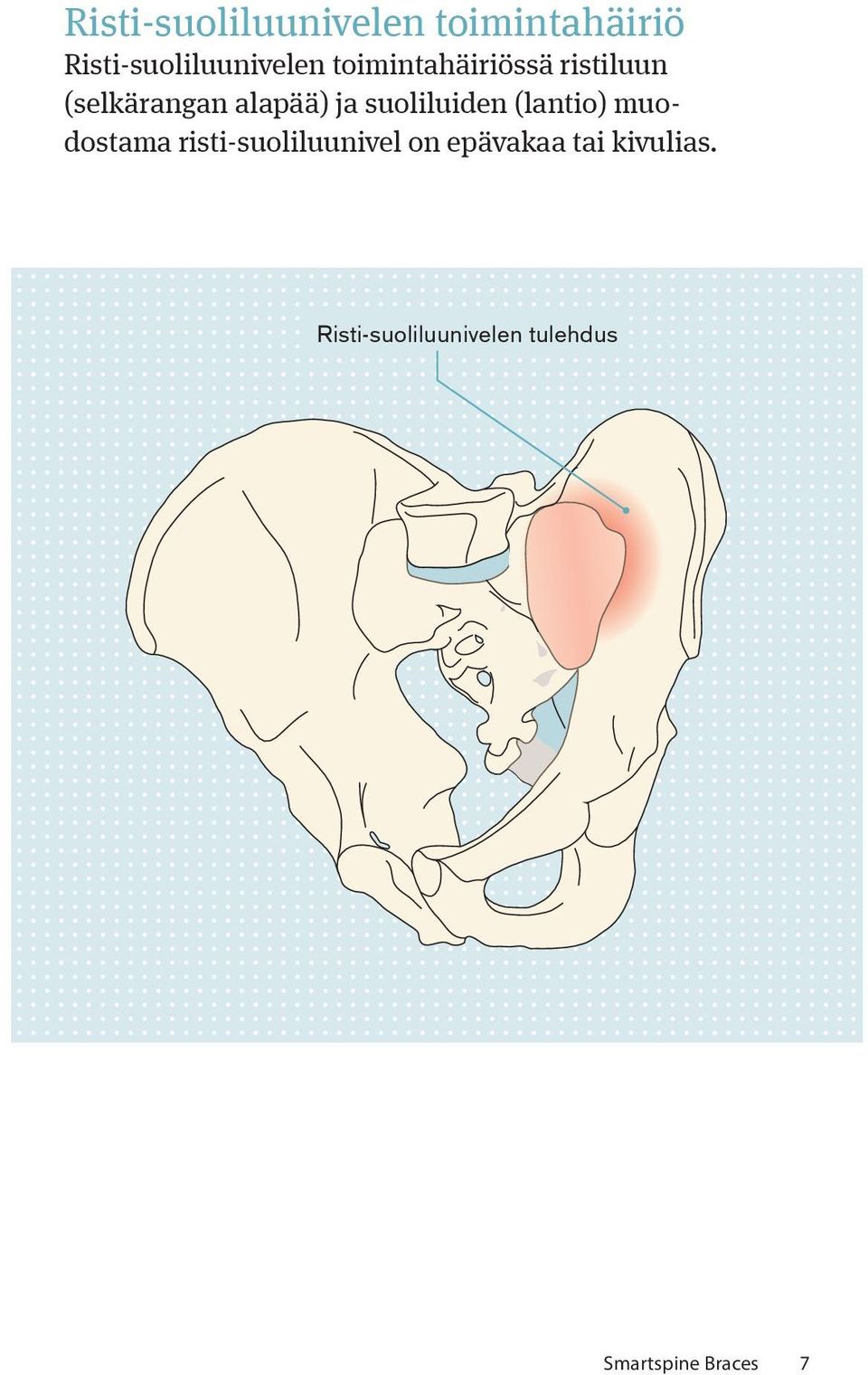 suoliluiden (lantio) muodostama risti-suoliluunivel on