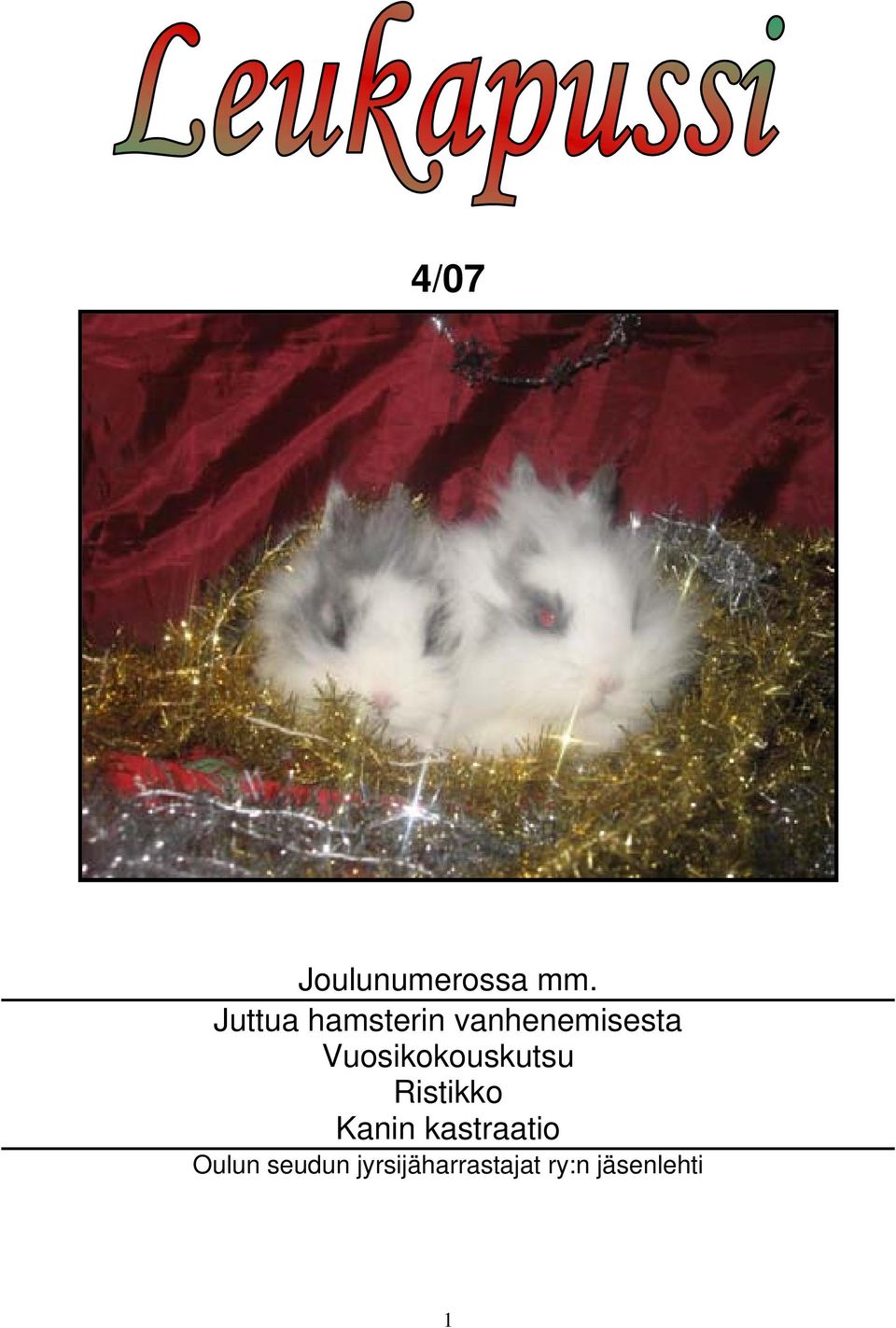 Vuosikokouskutsu Ristikko Kanin