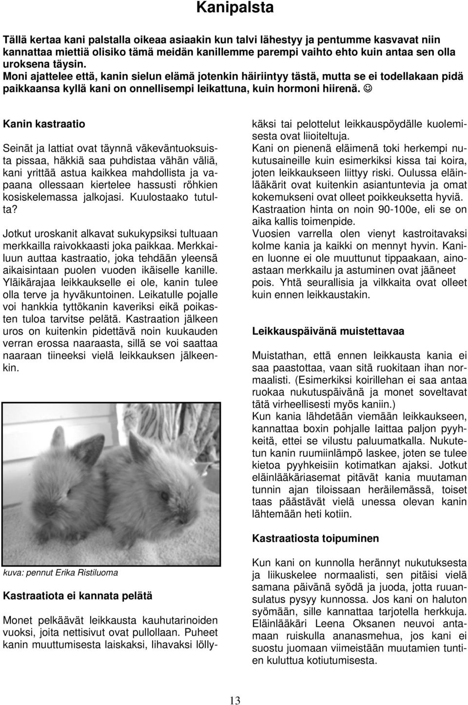 Kanin kastraatio Seinät ja lattiat ovat täynnä väkeväntuoksuista pissaa, häkkiä saa puhdistaa vähän väliä, kani yrittää astua kaikkea mahdollista ja vapaana ollessaan kiertelee hassusti röhkien