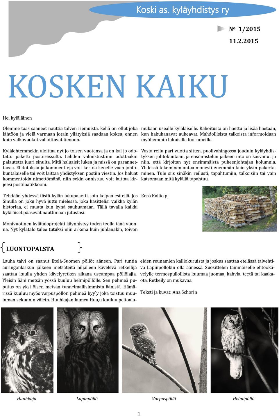 2015 KOSKEN KAIKU Hei kyla la inen Olemme taas saaneet nauttia talven riemuista, kelia on ollut joka la hto o n ja viela varmaan jotain ylla tyksia saadaan kokea, ennen kuin valkovuokot valloittavat