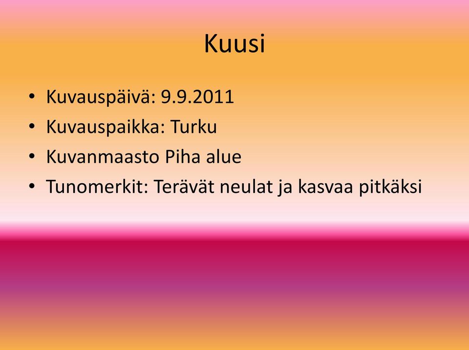 Kuvanmaasto Piha alue