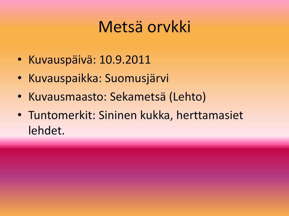 Kuvausmaasto: Sekametsä (Lehto)