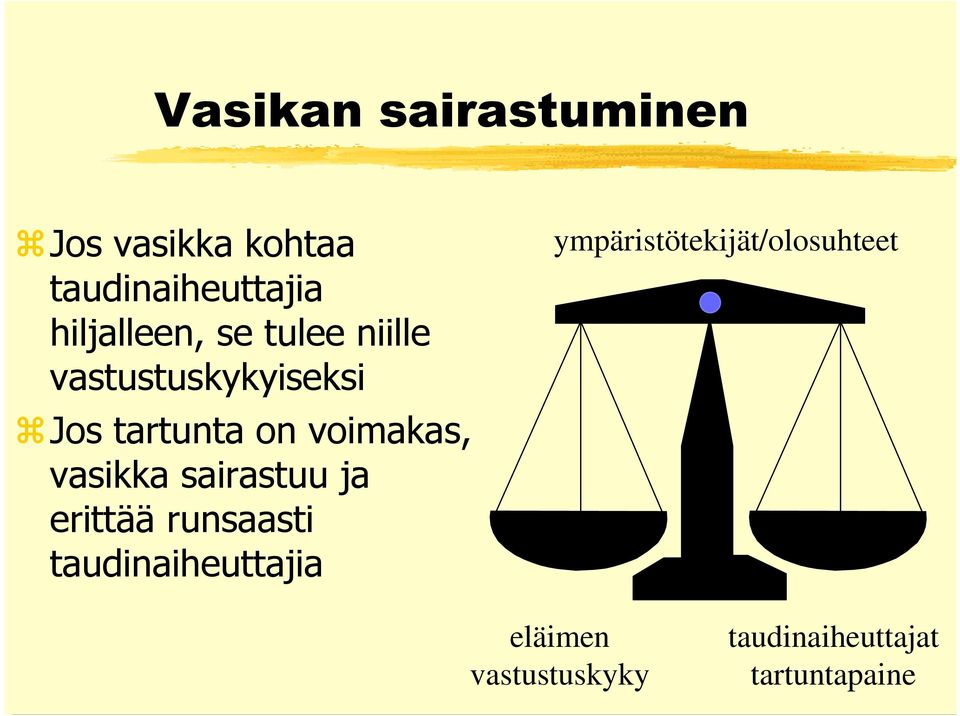 voimakas, vasikka sairastuu ja erittää runsaasti taudinaiheuttajia