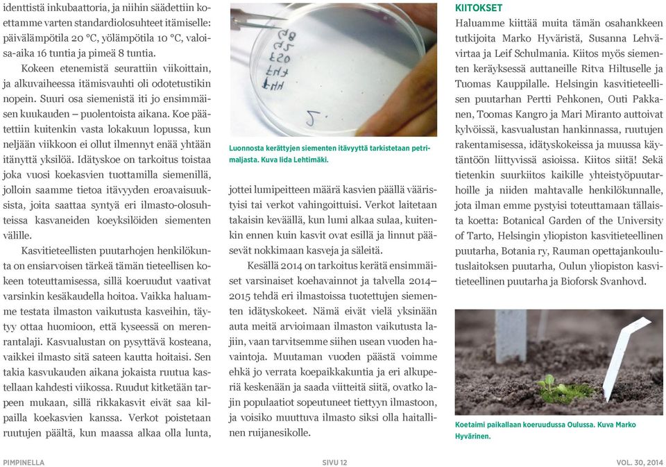 Koe päätettiin kuitenkin vasta lokakuun lopussa, kun neljään viikkoon ei ollut ilmennyt enää yhtään itänyttä yksilöä.