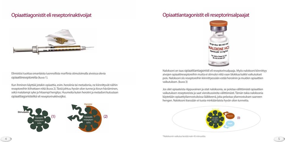 heroiinia tai metadonia, ne kiinnittyvät näihin reseptoreihin kiihottaen niitä (kuva 2). Tästä johtuu hyvän olon tunne ja kivun häviäminen, sekä matalampi syke ja hitaampi hengitys.