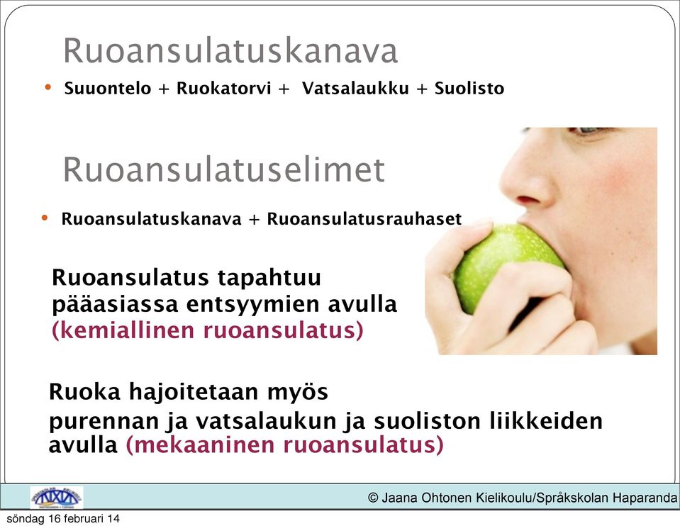 tapahtuu pääasiassa entsyymien avulla (kemiallinen ruoansulatus) Ruoka