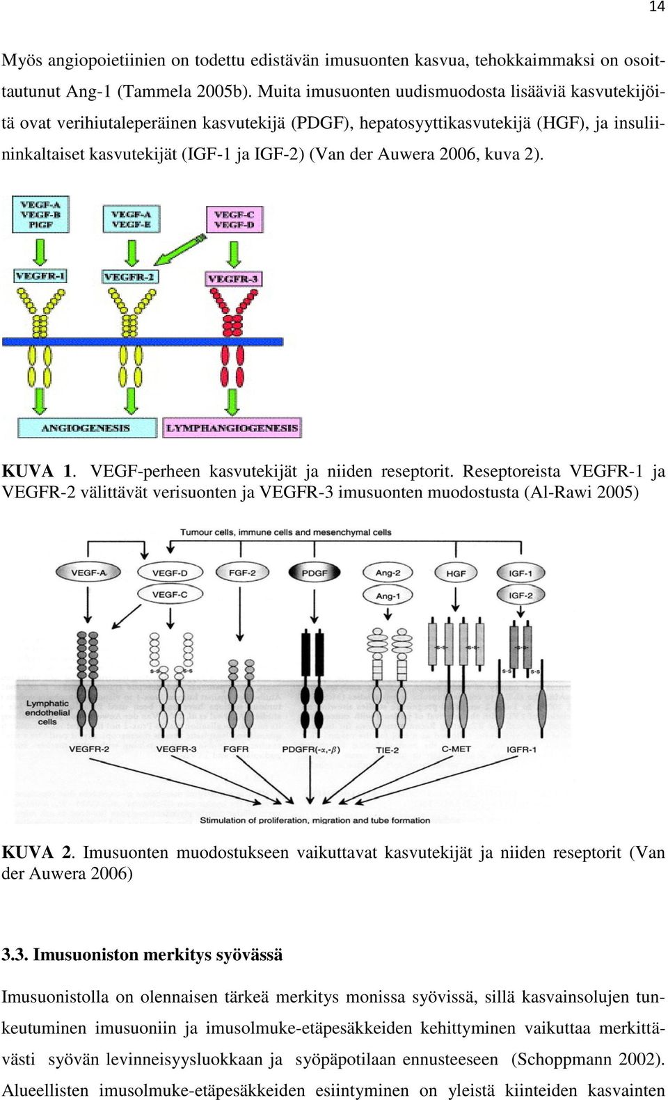 2006, kuva 2). KUVA 1. VEGF-perheen kasvutekijät ja niiden reseptorit. Reseptoreista VEGFR-1 ja VEGFR-2 välittävät verisuonten ja VEGFR-3 imusuonten muodostusta (Al-Rawi 2005) KUVA 2.