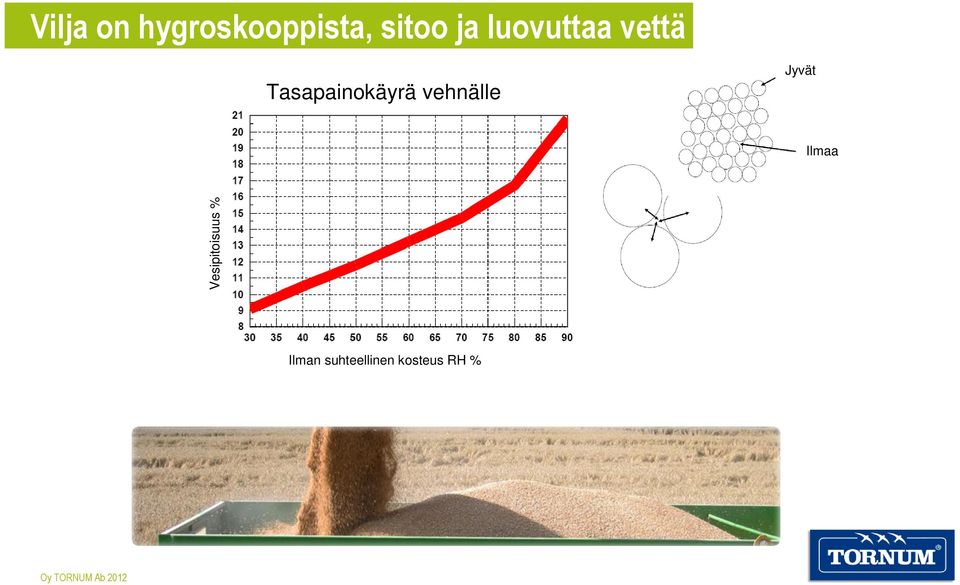 vehnälle Jyvät Ilmaa