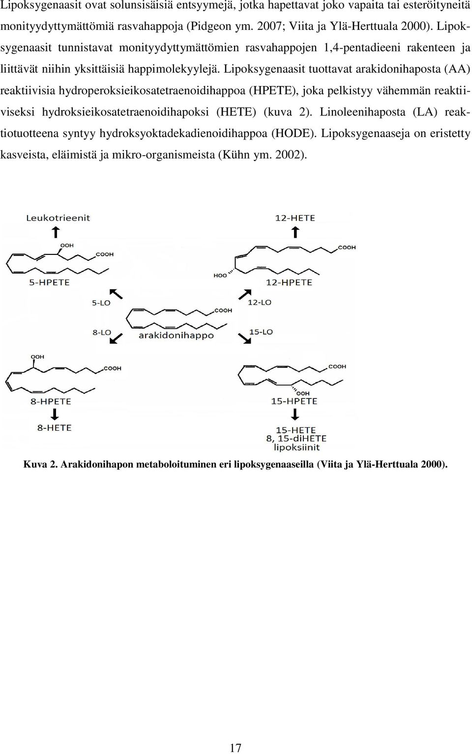Lipoksygenaasit tuottavat arakidonihaposta (AA) reaktiivisia hydroperoksieikosatetraenoidihappoa (HPETE), joka pelkistyy vähemmän reaktiiviseksi hydroksieikosatetraenoidihapoksi (HETE) (kuva 2).