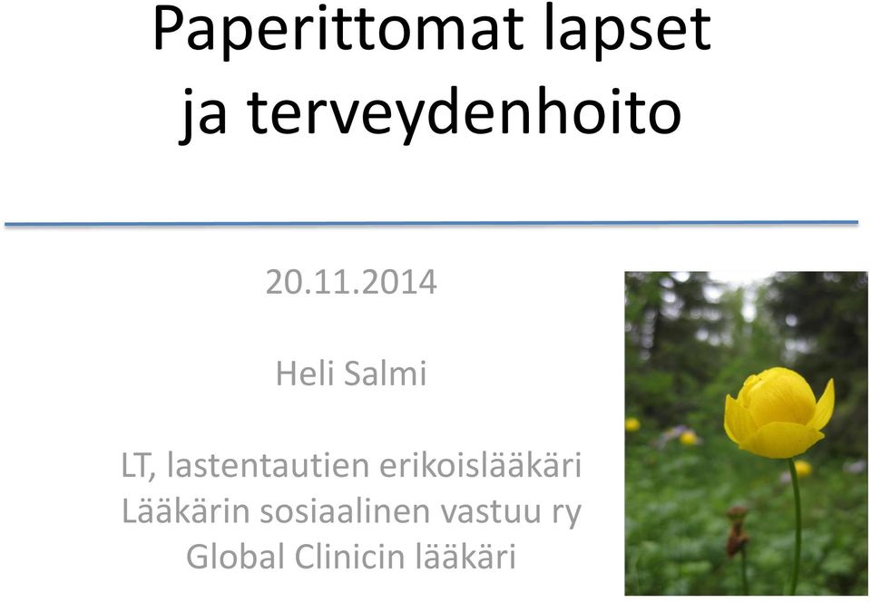 2014 Heli Salmi LT, lastentautien