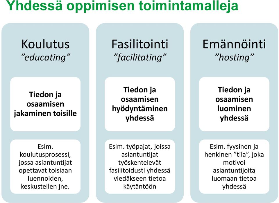 koulutusprosessi, jossa asiantuntijat opettavat toisiaan luennoiden, keskustellen jne. Esim.