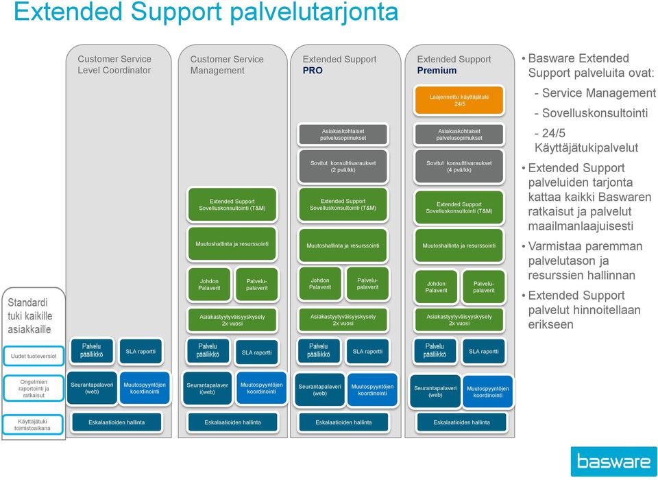 (T&M) Sovitut konsulttivaraukset (2 pvä/kk) Extended Support Sovelluskonsultointi (T&M) Sovitut konsulttivaraukset (4 pvä/kk) Extended Support Sovelluskonsultointi (T&M) Extended Support palveluiden