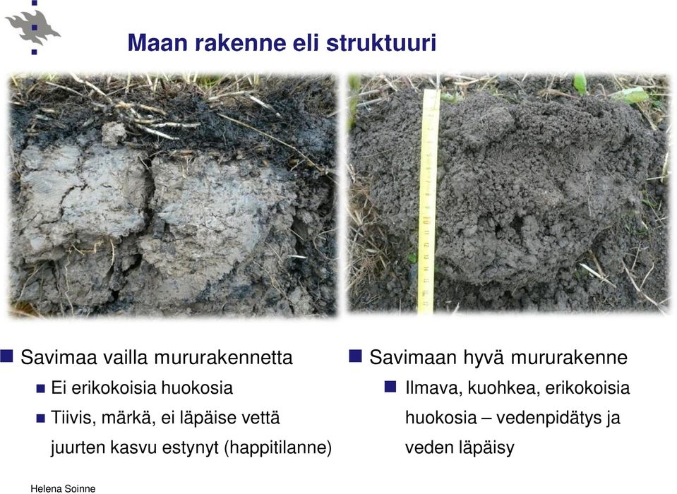 kasvu estynyt (happitilanne) Savimaan hyvä mururakenne Ilmava,