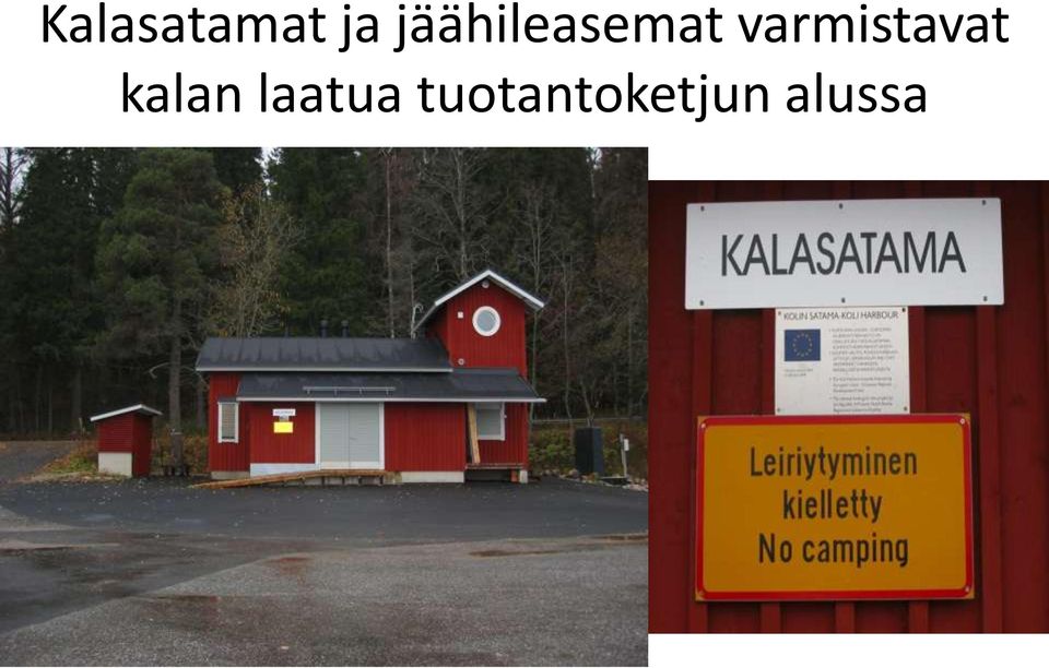 varmistavat kalan