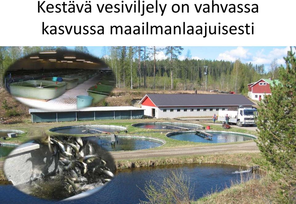 vahvassa