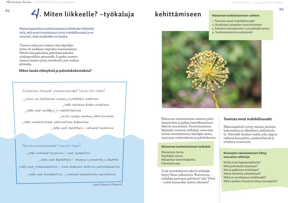 Toisessa vaiheessa mukaan tulee käyttäjän tarina eli asiakkaan tarpeiden tunnistaminen. Palvelu konseptoidaan palvelukuvaukseksi asiakasprofiilien perusteella.