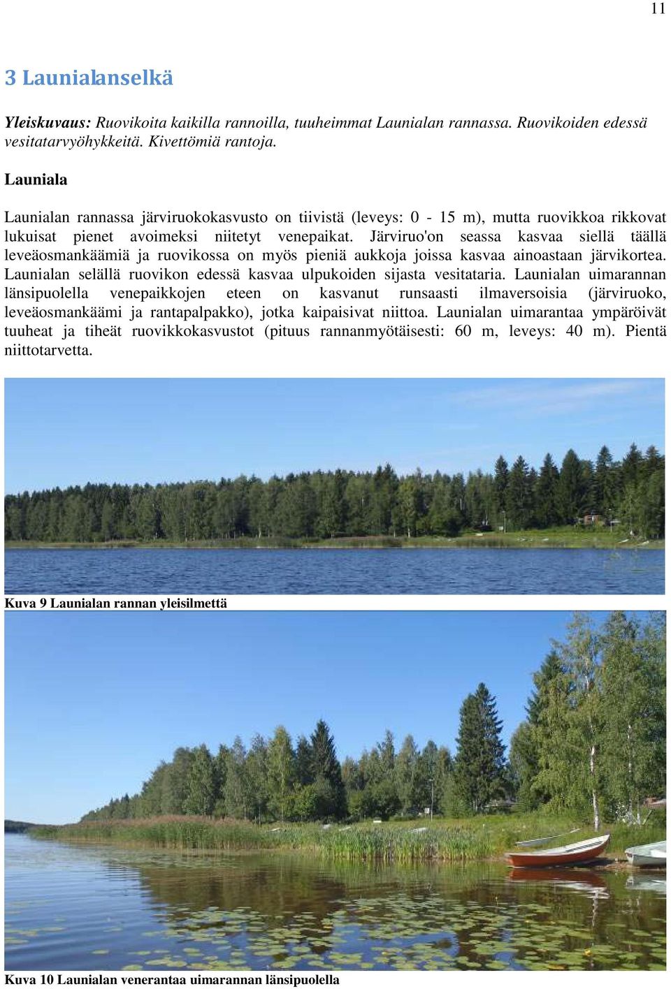 Järviruo'on seassa kasvaa siellä täällä leveäosmankäämiä ja ruovikossa on myös pieniä aukkoja joissa kasvaa ainoastaan järvikortea.