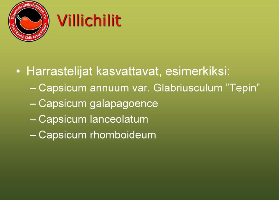 Glabriusculum Tepin Capsicum