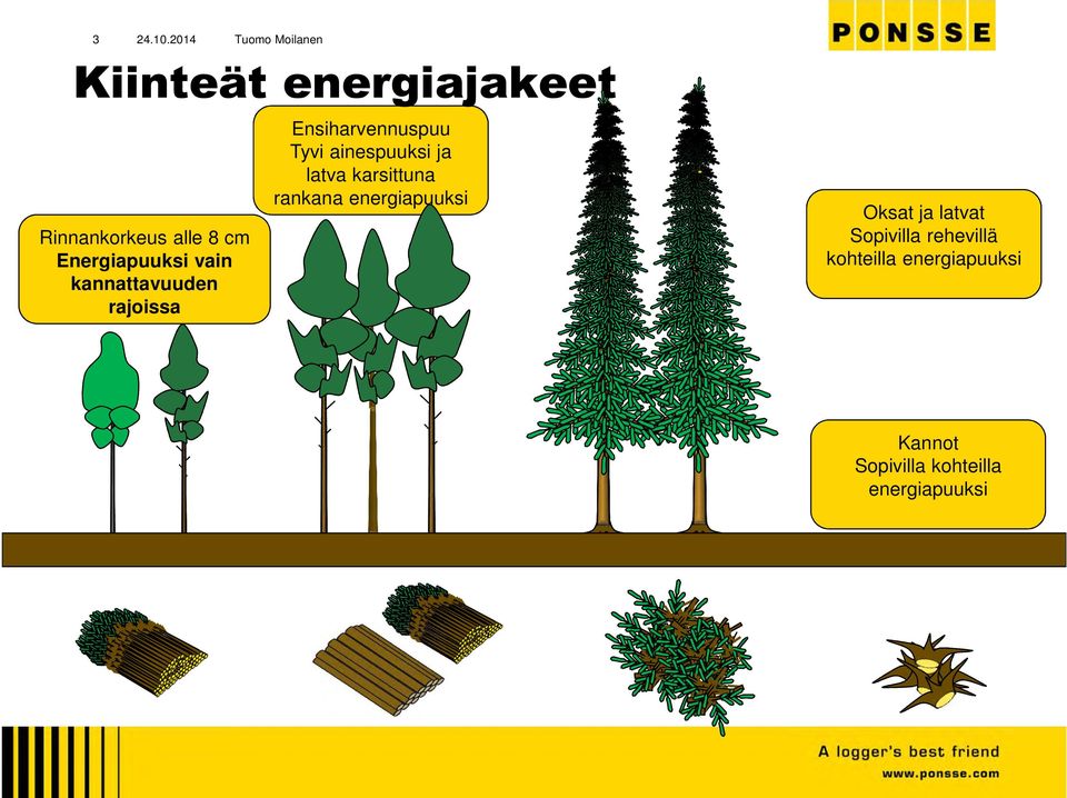 latva karsittuna rankana energiapuuksi Oksat ja latvat Sopivilla