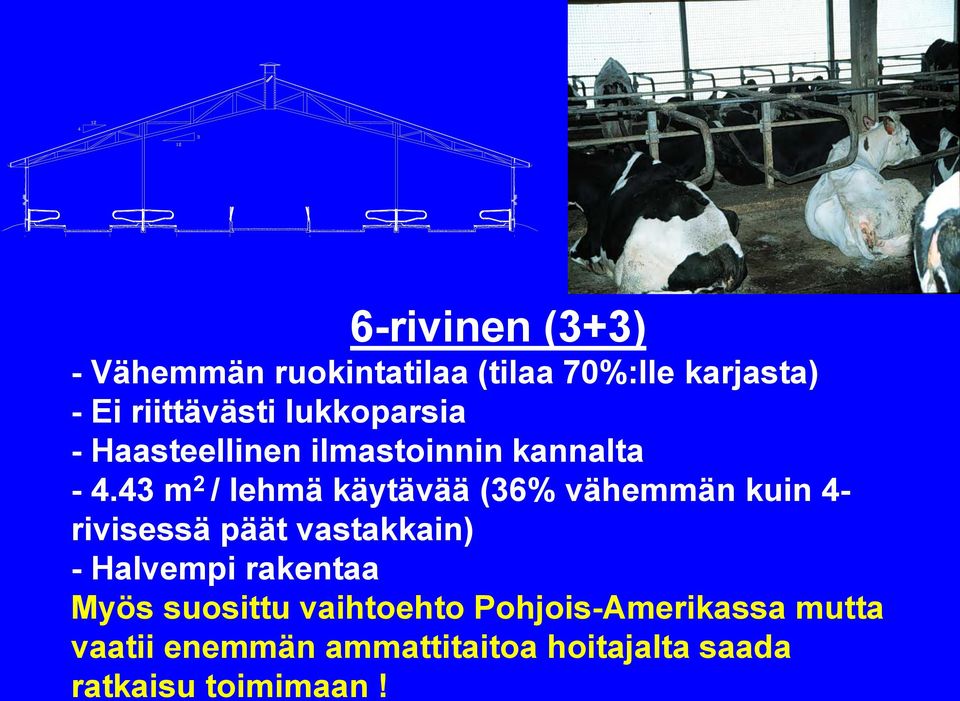 43 m 2 / lehmä käytävää (36% vähemmän kuin 4- rivisessä päät vastakkain) - Halvempi