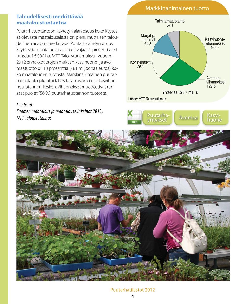 MTT Taloustutkimuksen vuoden 2012 ennakkotietojen mukaan kasvihuone- ja avomaatuotto oli 13 prosenttia (781 miljoonaa euroa) koko maatalouden tuotosta.