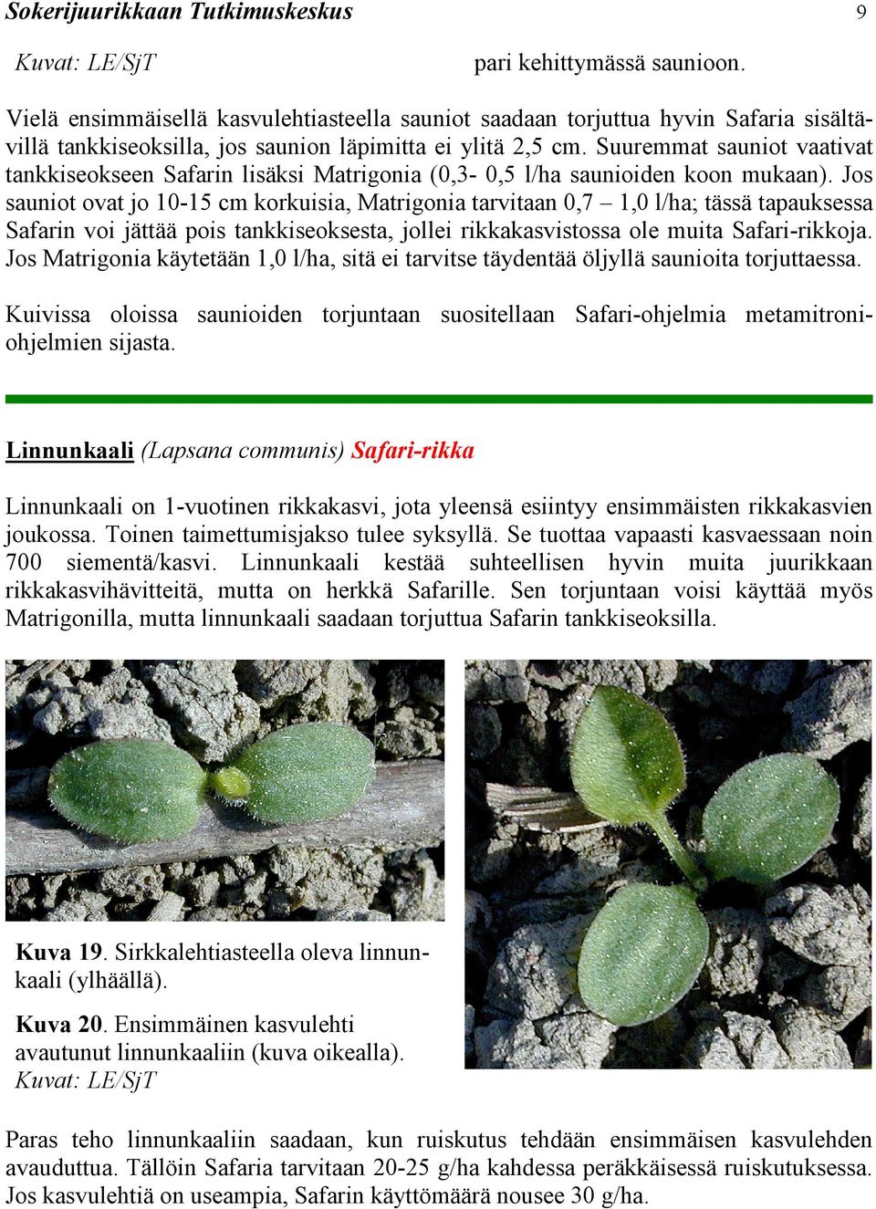 Suuremmat sauniot vaativat tankkiseokseen Safarin lisäksi Matrigonia (0,3-0,5 l/ha saunioiden koon mukaan).