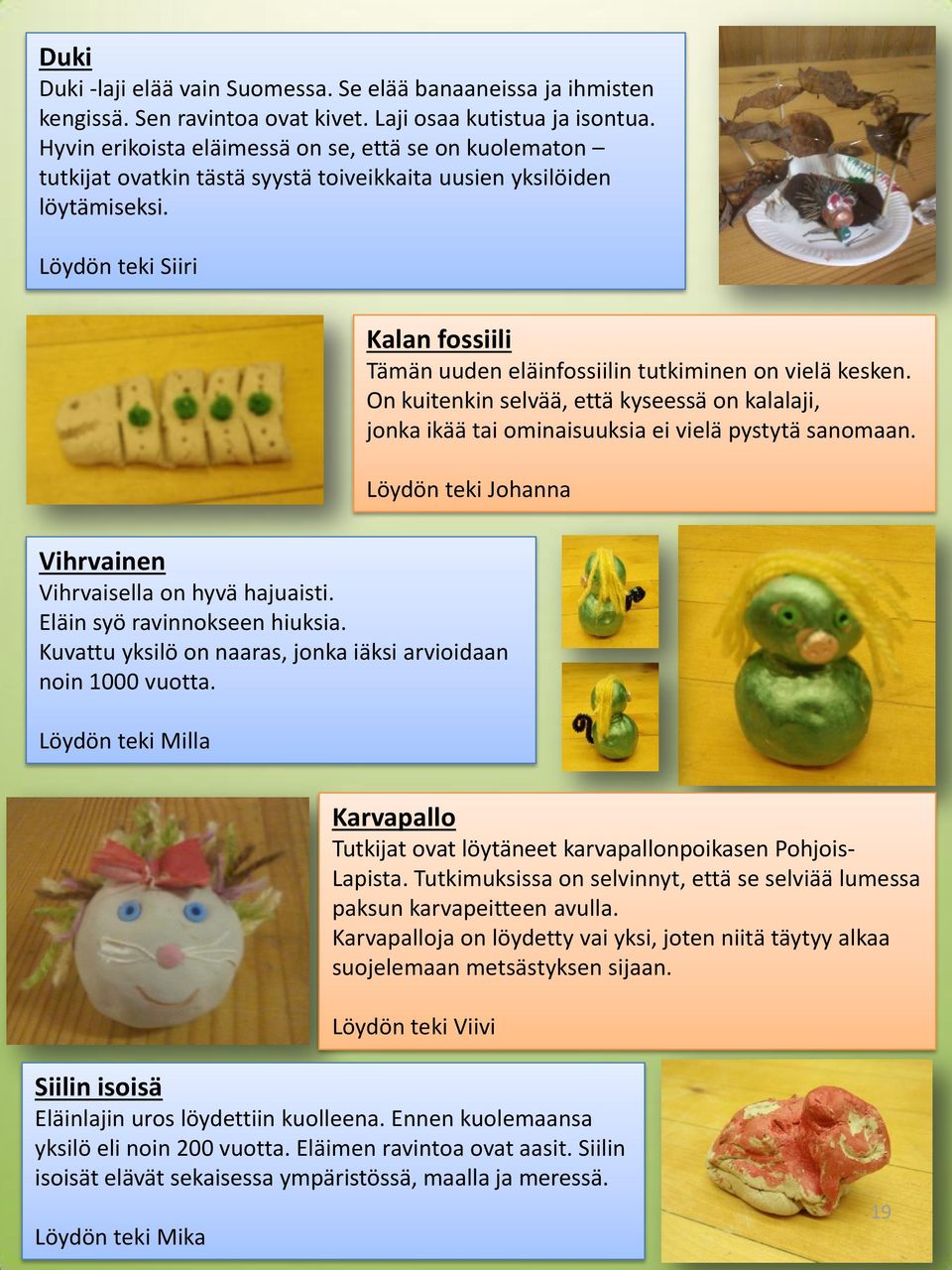 Löydön teki Siiri Kalan fossiili Tämän uuden eläinfossiilin tutkiminen on vielä kesken. On kuitenkin selvää, että kyseessä on kalalaji, jonka ikää tai ominaisuuksia ei vielä pystytä sanomaan.