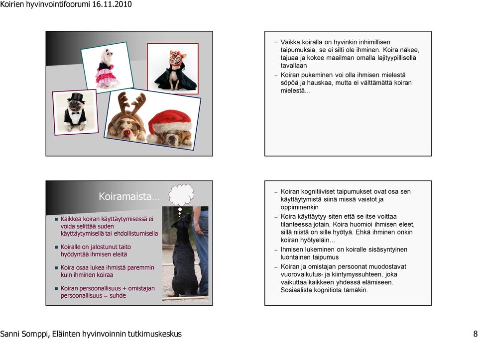 käyttäytymisessä ei voida selittää suden käyttäytymisellä tai ehdollistumisella Koiralle on jalostunut taito hyödyntää ihmisen eleitä Koira osaa lukea ihmistä paremmin kuin ihminen koiraa Koiran