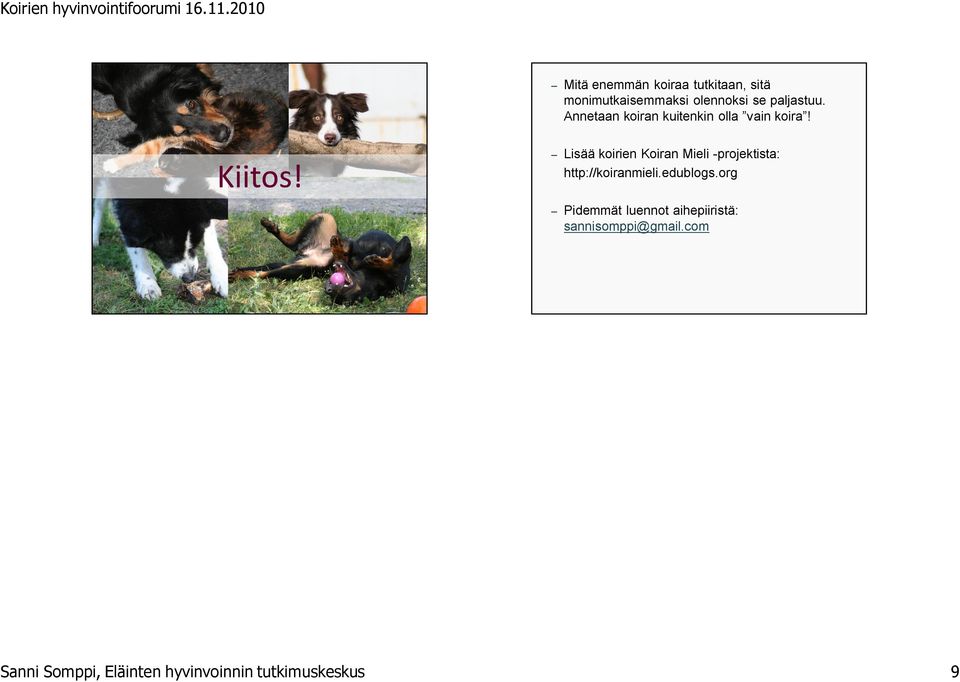 Lisää koirien Koiran Mieli -projektista: http://koiranmieli.edublogs.