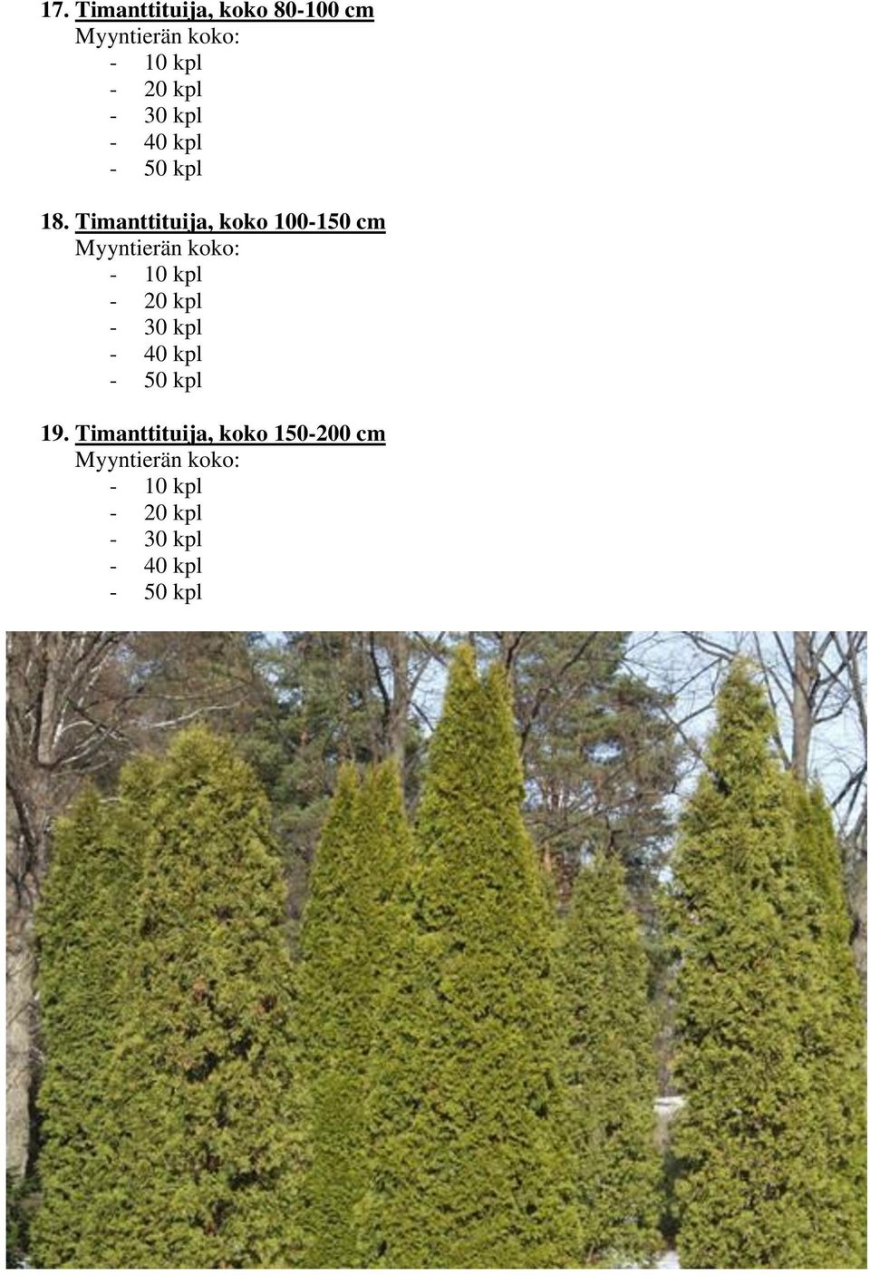 Timanttituija, koko 100-150 cm - 30 kpl