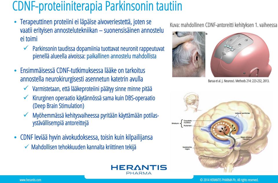 neurokirurgisesti asennetun katetrin avulla ü Varmistetaan, että lääkeproteiini päätyy sinne minne pitää ü Kirurginen operaatio käytännössä sama kuin DBS-operaatio (Deep Brain Stimulation) ü