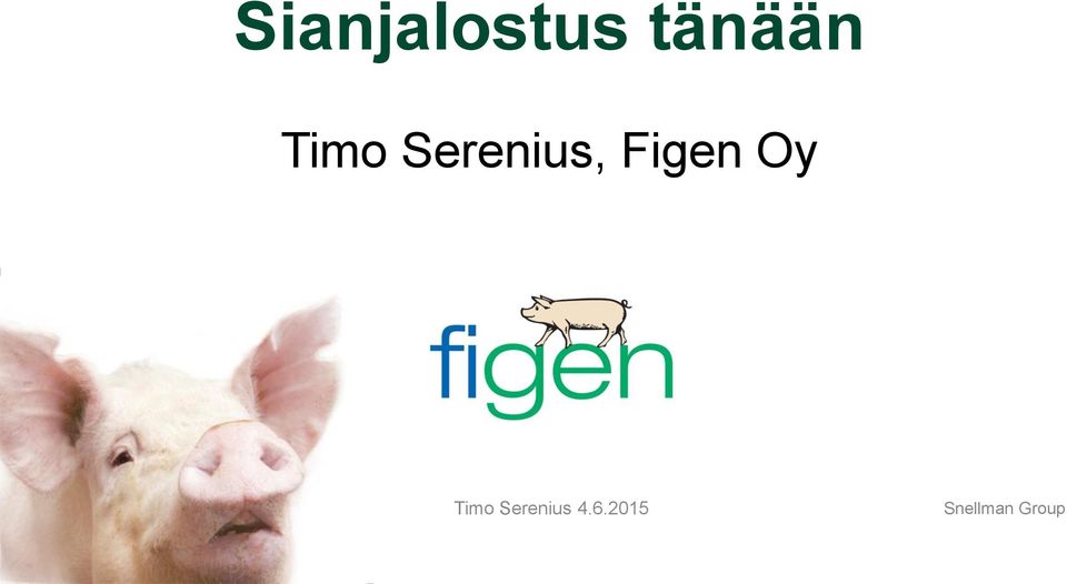 Oy Timo Serenius 4.6.