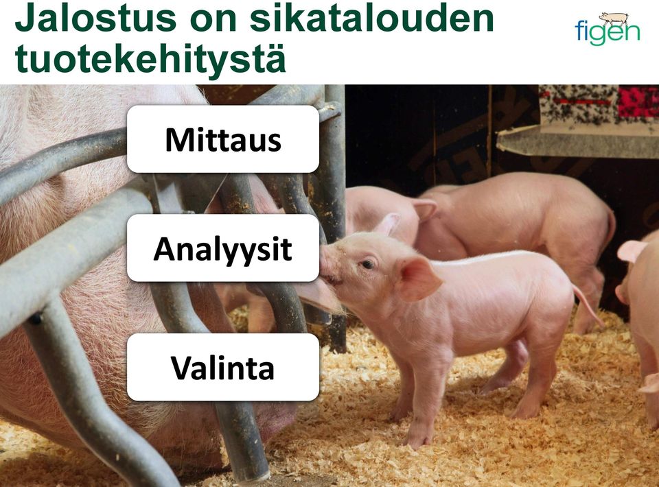 tuotekehitystä