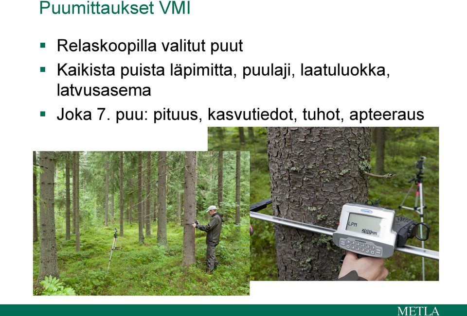 läpimitta, puulaji, laatuluokka,