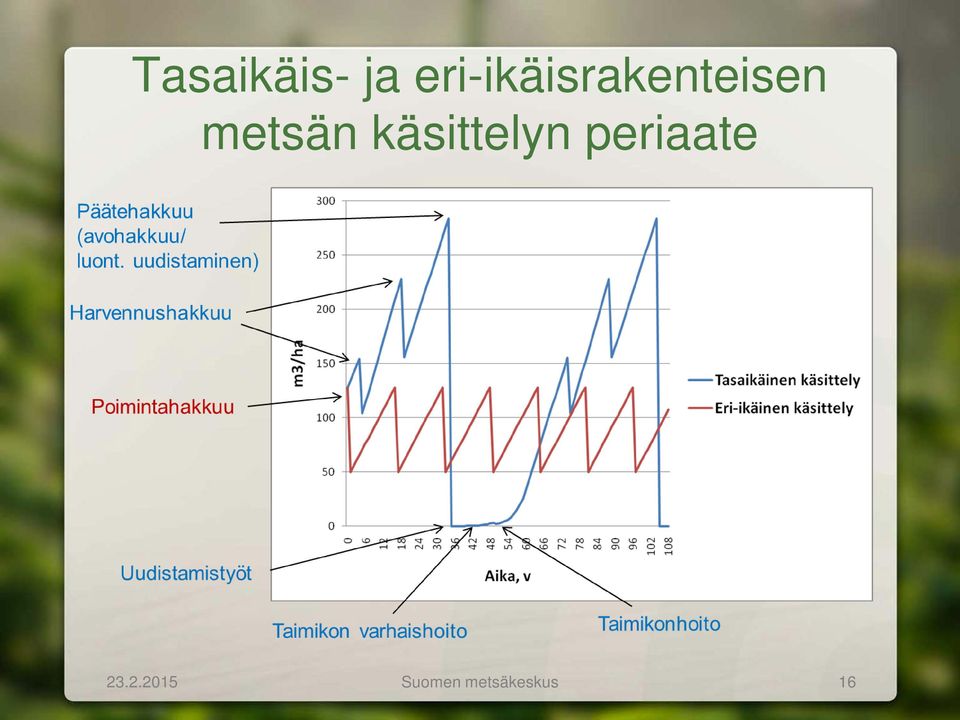 metsän käsittelyn