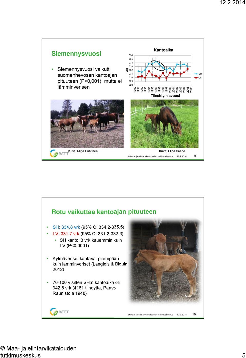 21 22 23 24 25 26 Tiinehtymisvuosi SH LV Kuva: Mirja Huhtinen Kuva: Elina Saario Maa- ja elintarviketalouden tutkimuskeskus 12.2.214 9 Rotu vaikuttaa kantoajan pituuteen SH: