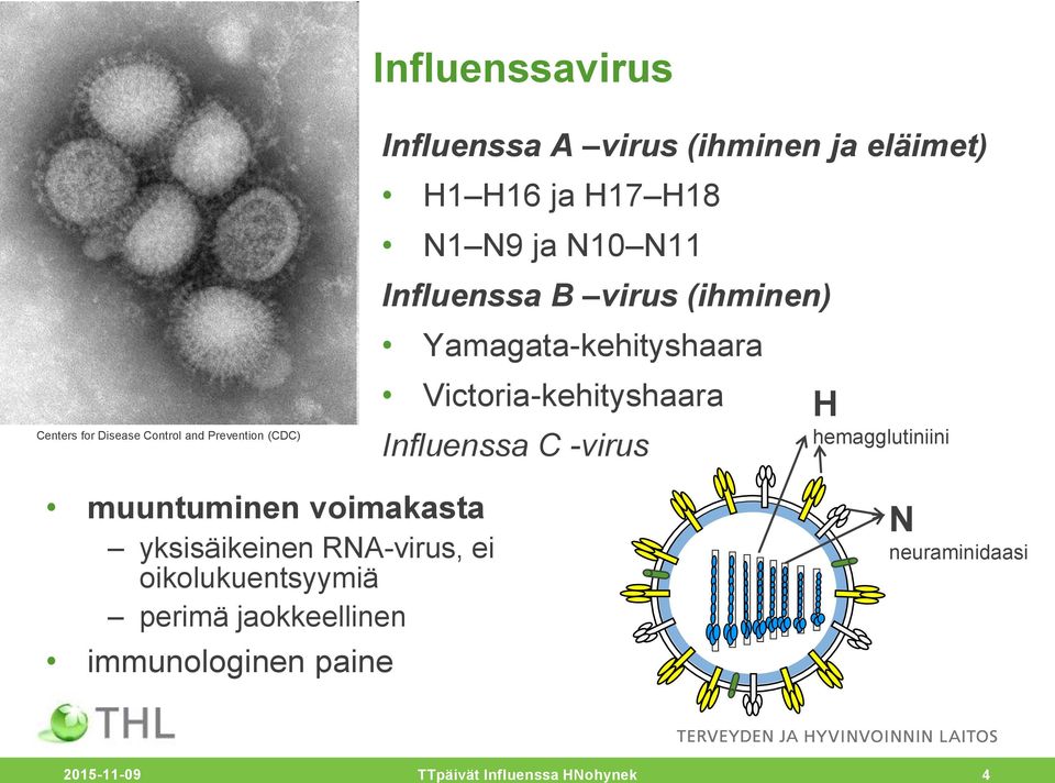 Victoria-kehityshaara Influenssa C -virus H hemagglutiniini muuntuminen voimakasta yksisäikeinen