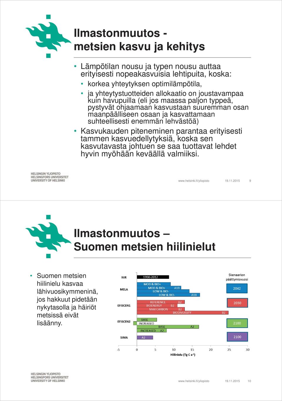 suhteellisesti enemmän lehvästöä) Kasvukauden piteneminen parantaa erityisesti tammen kasvuedellytyksiä, koska sen kasvutavasta johtuen se saa tuottavat lehdet hyvin myöhään