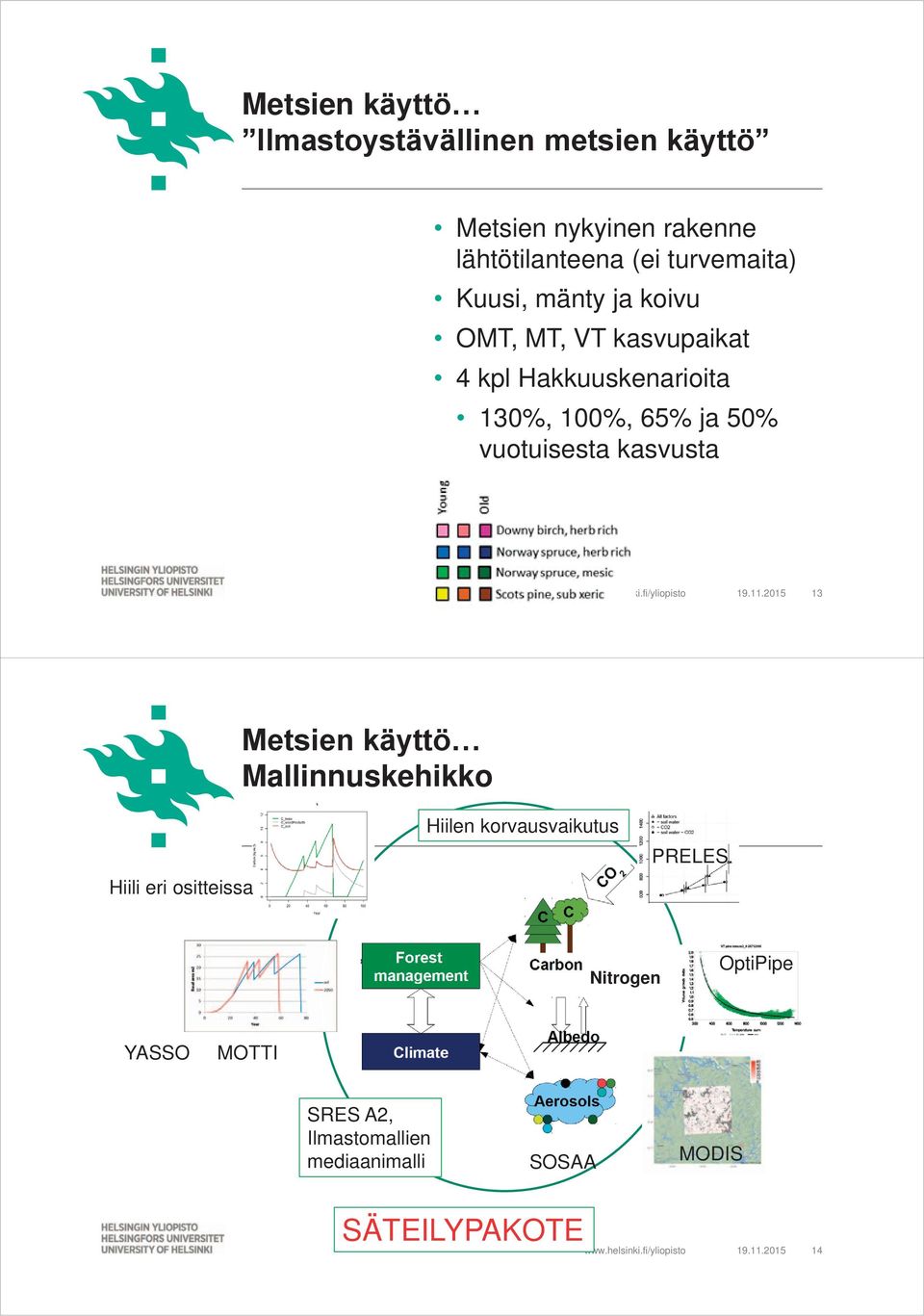 kasvusta 19.11.