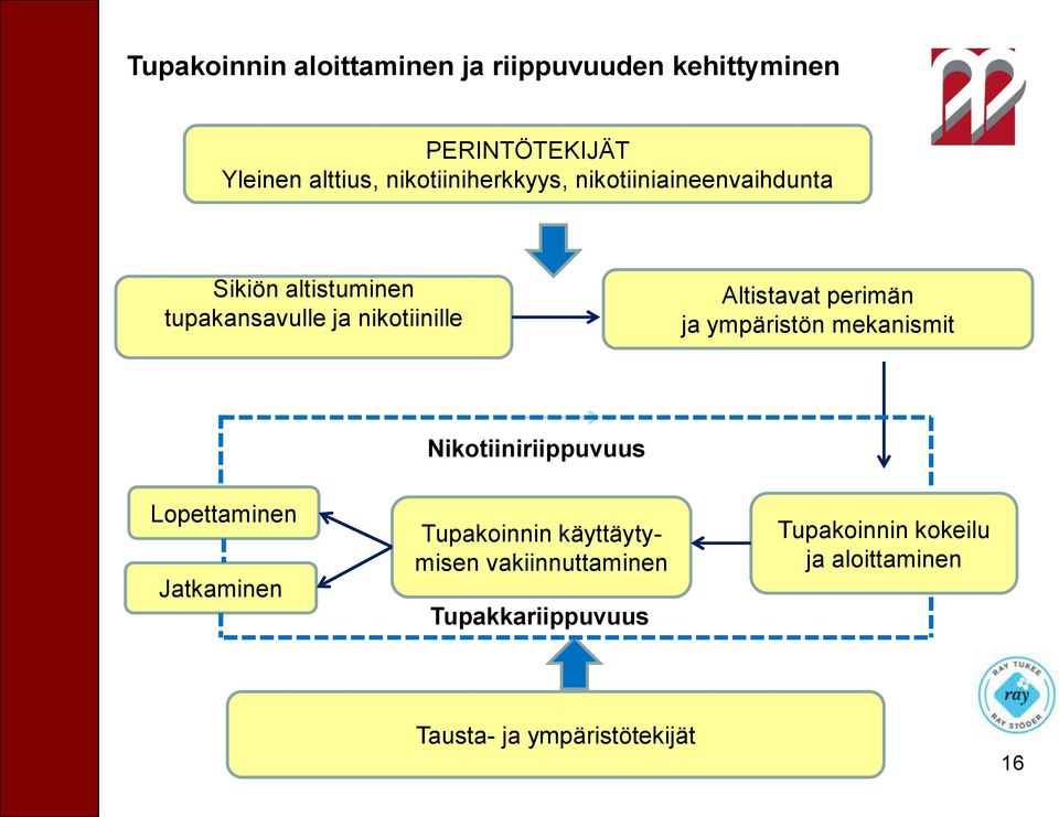 Altistavat perimän ja ympäristön mekanismit Nikotiiniriippuvuus Lopettaminen Jatkaminen Tupakoinnin